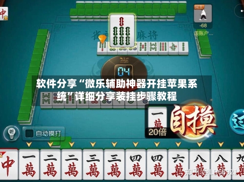软件分享“微乐辅助神器开挂苹果系统”详细分享装挂步骤教程-第2张图片