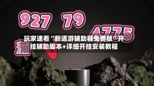 玩家速看“新道游辅助器免费版	”开挂辅助脚本+详细开挂安装教程-第2张图片