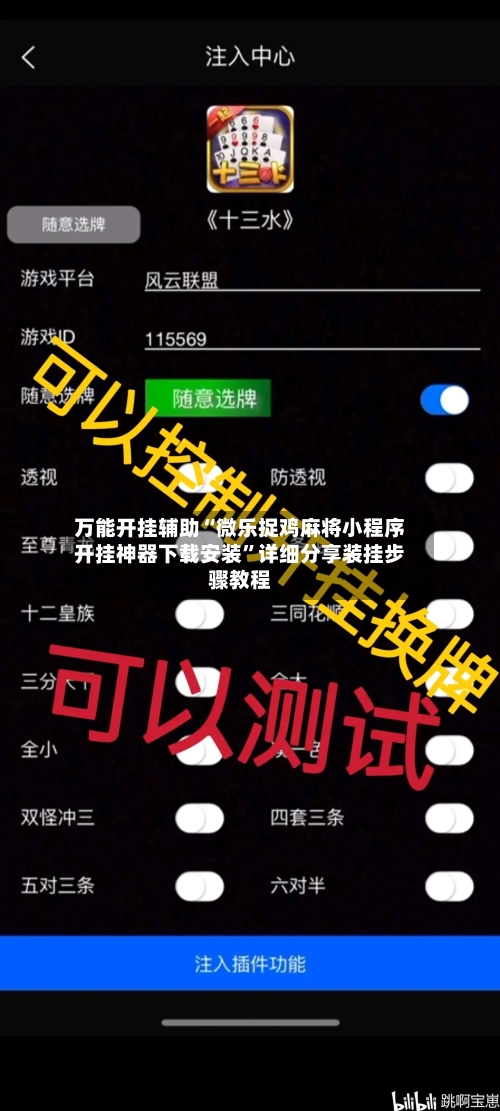 万能开挂辅助“微乐捉鸡麻将小程序开挂神器下载安装”详细分享装挂步骤教程-第2张图片