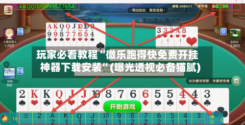 玩家必看教程“微乐跑得快免费开挂神器下载安装”(曝光透视必备猫腻)-第2张图片