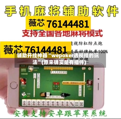 辅助开挂神器“wepoker透视挂的玩法”(原来确实是有插件)-第3张图片