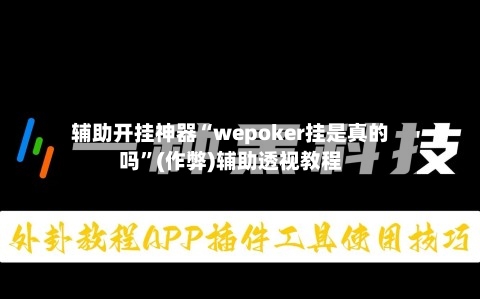 辅助开挂神器“wepoker挂是真的吗”(作弊)辅助透视教程-第2张图片