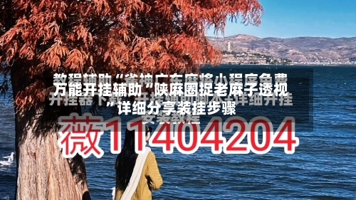 万能开挂辅助“陕麻圈捉老麻子透视	”详细分享装挂步骤-第2张图片