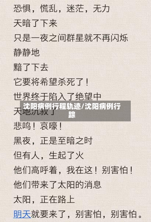 沈阳病例行程轨迹/沈阳病例行踪