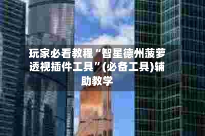 玩家必看教程“智星德州菠萝透视插件工具”(必备工具)辅助教学