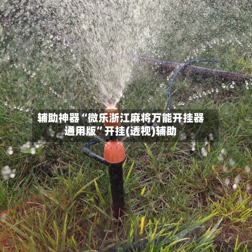 辅助神器“微乐浙江麻将万能开挂器通用版”开挂(透视)辅助-第2张图片