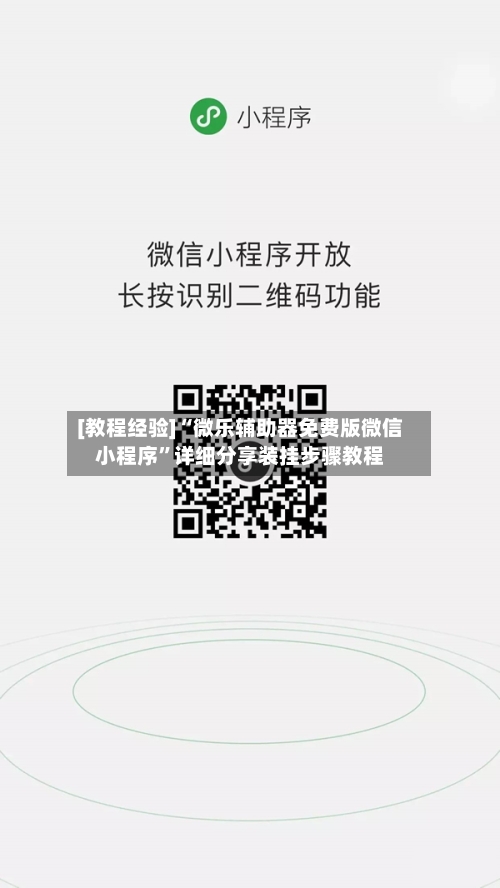 [教程经验]“微乐辅助器免费版微信小程序”详细分享装挂步骤教程-第2张图片