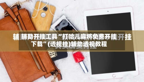 辅助开挂工具“打哈儿麻将免费开挂下载”(透视挂)辅助透视教程-第3张图片