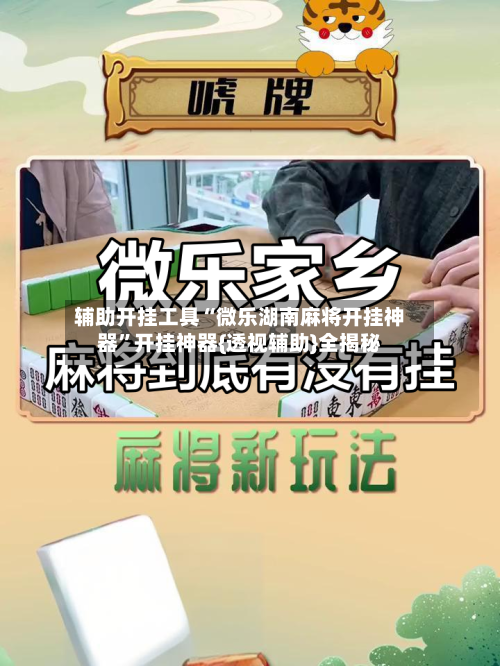 辅助开挂工具“微乐湖南麻将开挂神器”开挂神器{透视辅助}全揭秘