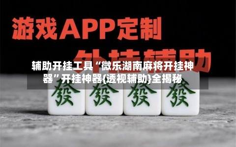 辅助开挂工具“微乐湖南麻将开挂神器”开挂神器{透视辅助}全揭秘-第2张图片