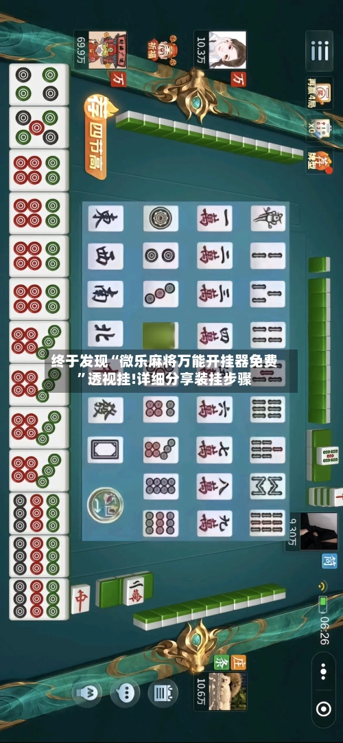 终于发现“微乐麻将万能开挂器免费”透视挂!详细分享装挂步骤-第2张图片