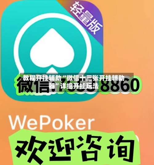 教程开挂辅助“微信十三张开挂辅助器”详细开挂玩法-第2张图片