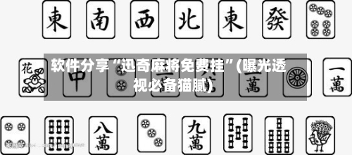 软件分享“迅奇麻将免费挂”(曝光透视必备猫腻)-第2张图片