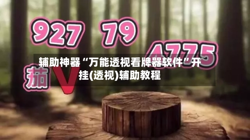 辅助神器“万能透视看牌器软件”开挂(透视)辅助教程