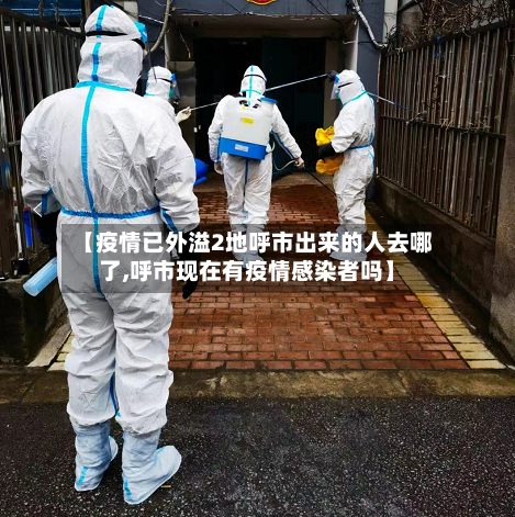 【疫情已外溢2地呼市出来的人去哪了,呼市现在有疫情感染者吗】