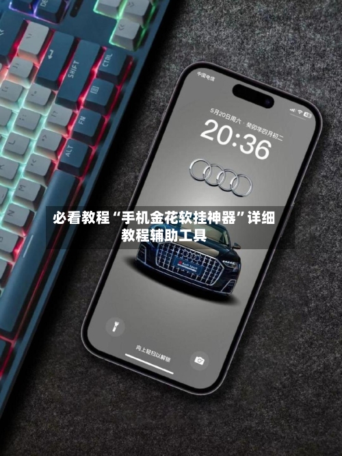 必看教程“手机金花软挂神器	”详细教程辅助工具-第2张图片