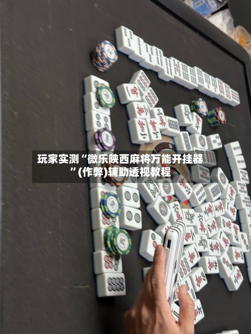 玩家实测“微乐陕西麻将万能开挂器”(作弊)辅助透视教程