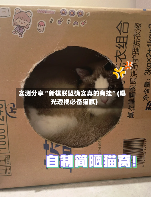 实测分享“新棋联盟确实真的有挂”(曝光透视必备猫腻)