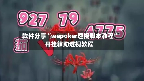 软件分享“wepoker透视脚本教程”开挂辅助透视教程-第2张图片