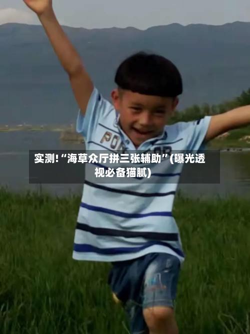 实测!“海草众厅拼三张辅助”(曝光透视必备猫腻)