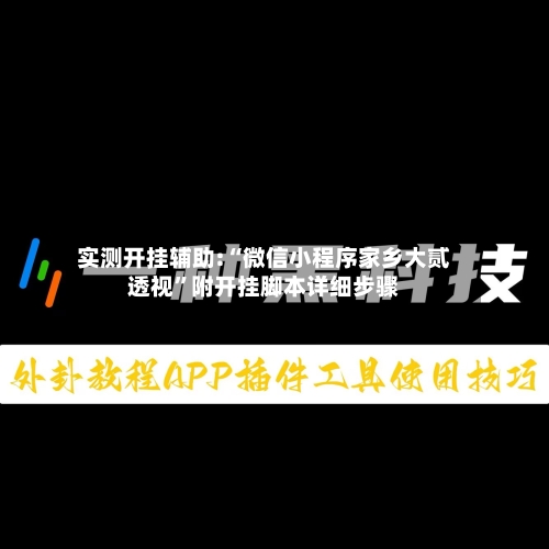 实测开挂辅助:“微信小程序家乡大贰透视”附开挂脚本详细步骤-第3张图片