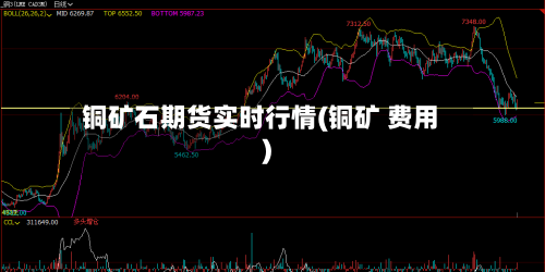 铜矿石期货实时行情(铜矿 费用)