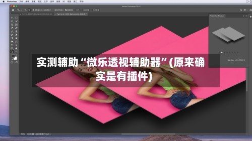 实测辅助“微乐透视辅助器”(原来确实是有插件)