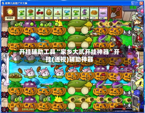 开挂辅助工具“家乡大贰开挂神器”开挂(透视)辅助神器-第2张图片