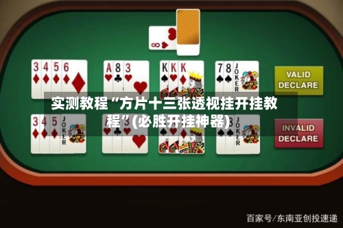 实测教程“方片十三张透视挂开挂教程”(必胜开挂神器)-第2张图片
