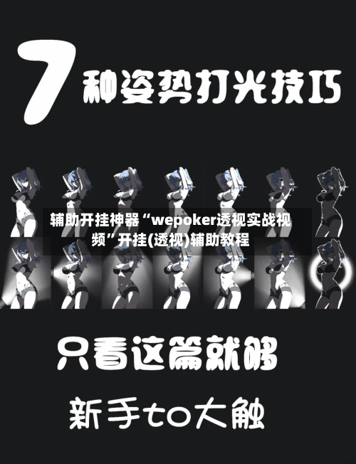 辅助开挂神器“wepoker透视实战视频”开挂(透视)辅助教程-第2张图片