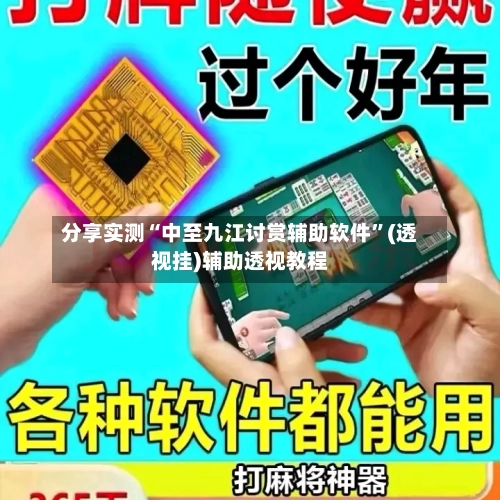 分享实测“中至九江讨赏辅助软件”(透视挂)辅助透视教程-第3张图片