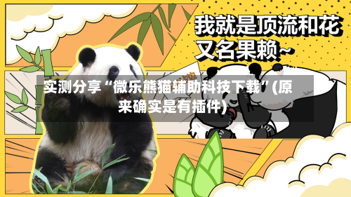 实测分享“微乐熊猫辅助科技下载”(原来确实是有插件)-第3张图片