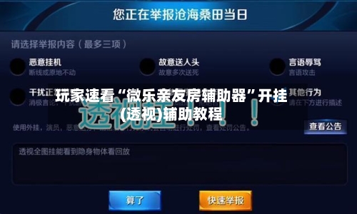 玩家速看“微乐亲友房辅助器”开挂(透视)辅助教程-第2张图片