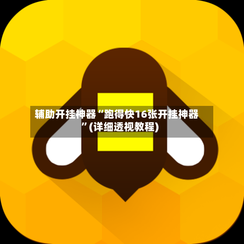辅助开挂神器“跑得快16张开挂神器”(详细透视教程)-第2张图片