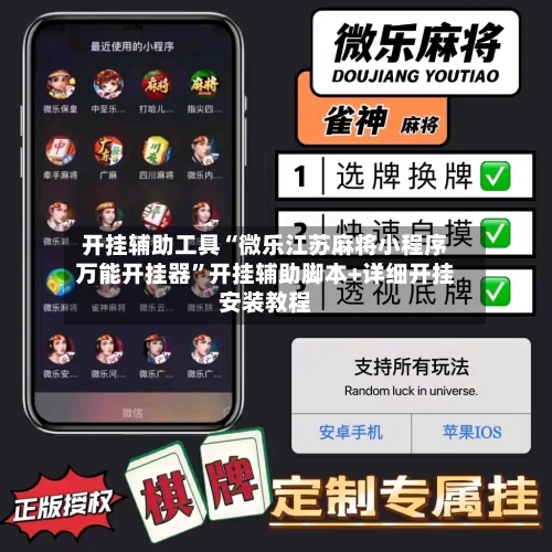 开挂辅助工具“微乐江苏麻将小程序万能开挂器”开挂辅助脚本+详细开挂安装教程-第2张图片
