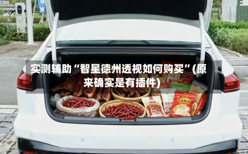 实测辅助“智星德州透视如何购买	”(原来确实是有插件)-第2张图片