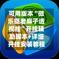 可用版本“微乐捉老麻子透视挂”开挂辅助脚本+详细开挂安装教程-第3张图片