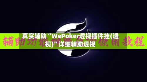真实辅助“WePoker透视插件挂(透视)”详细辅助透视-第2张图片
