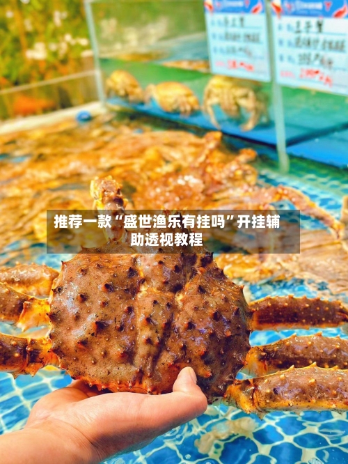 推荐一款“盛世渔乐有挂吗”开挂辅助透视教程-第3张图片