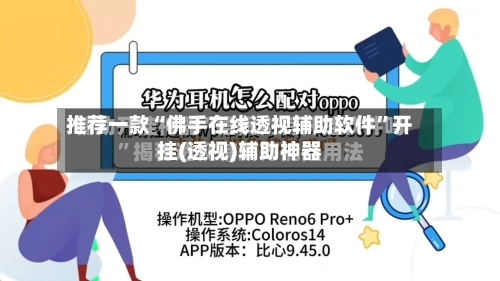 推荐一款“佛手在线透视辅助软件”开挂(透视)辅助神器-第3张图片