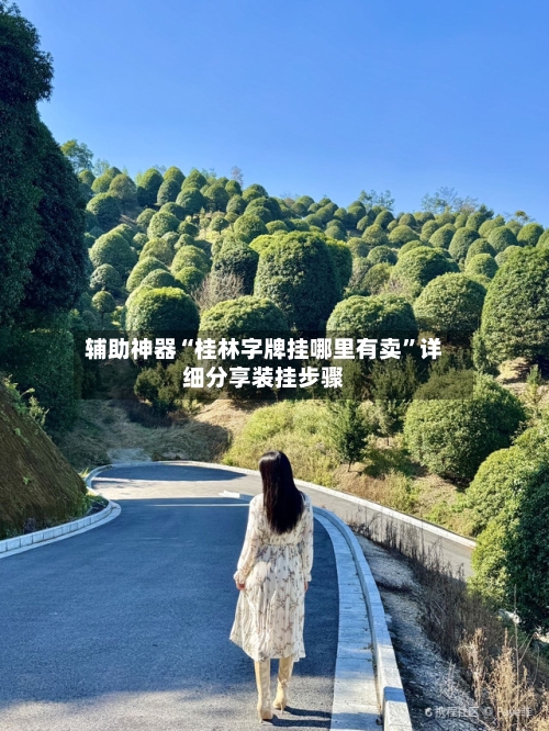 辅助神器“桂林字牌挂哪里有卖	”详细分享装挂步骤-第2张图片