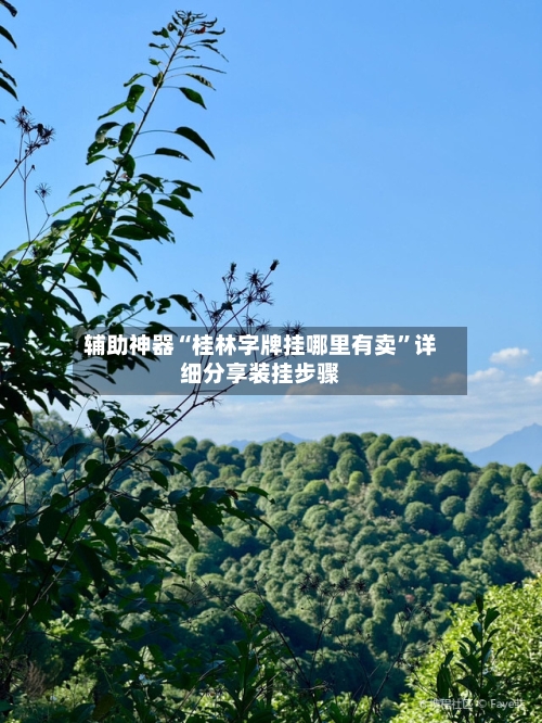 辅助神器“桂林字牌挂哪里有卖”详细分享装挂步骤-第3张图片
