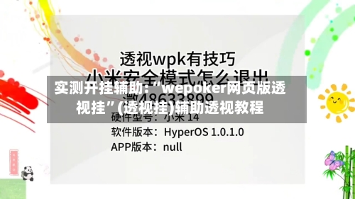 实测开挂辅助:“wepoker网页版透视挂”(透视挂)辅助透视教程-第2张图片