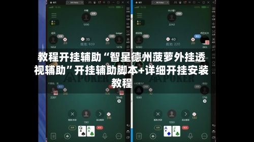 教程开挂辅助“智星德州菠萝外挂透视辅助	”开挂辅助脚本+详细开挂安装教程-第2张图片