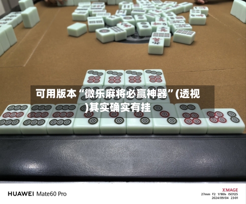 可用版本“微乐麻将必赢神器	”(透视)其实确实有挂-第2张图片