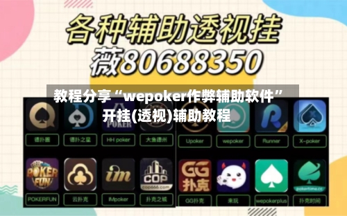 教程分享“wepoker作弊辅助软件”开挂(透视)辅助教程-第2张图片