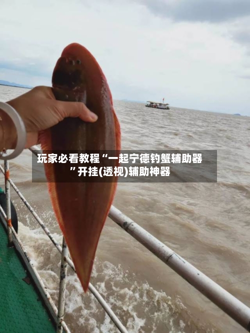 玩家必看教程“一起宁德钓蟹辅助器”开挂(透视)辅助神器