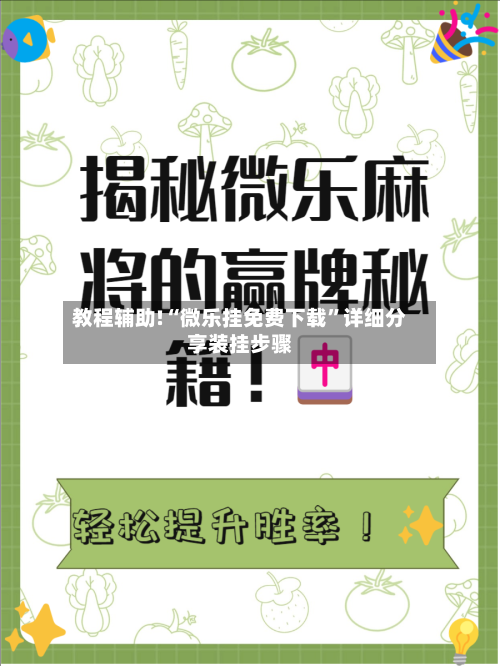 教程辅助!“微乐挂免费下载	”详细分享装挂步骤-第1张图片