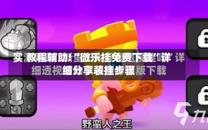 教程辅助!“微乐挂免费下载”详细分享装挂步骤-第2张图片