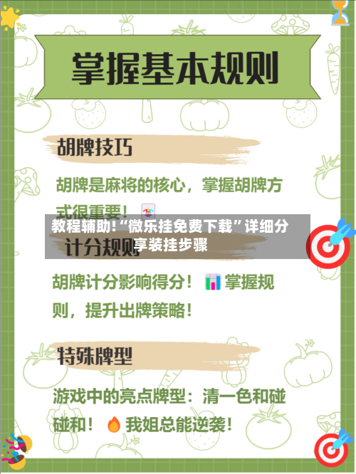 教程辅助!“微乐挂免费下载”详细分享装挂步骤-第3张图片